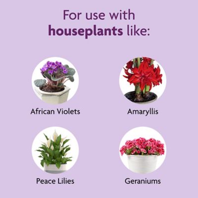 Image showing  8 oz. Blooming House Plant Food