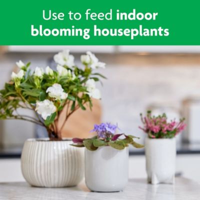 Image showing 5 th Miracle-Gro 8 oz. Blooming House Plant Food