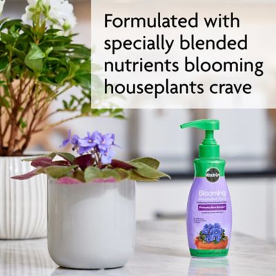Image showing 6 th Miracle-Gro 8 oz. Blooming House Plant Food