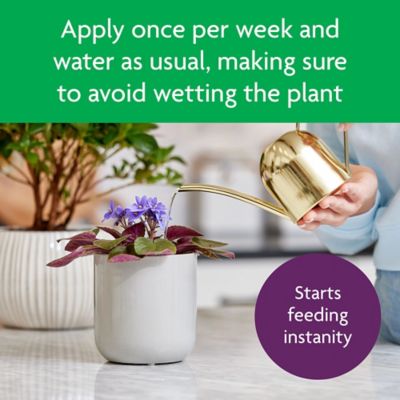 Image showing 8 th Miracle-Gro 8 oz. Blooming House Plant Food