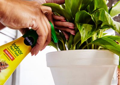 Image showing  8 oz. Indoor Liquid Plant Food