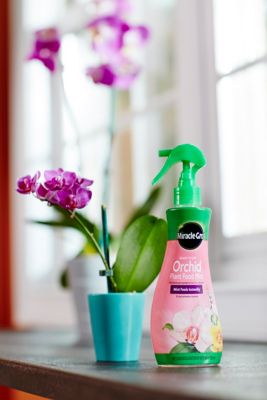 Image showing  8 oz. Ready-to-Use Orchid Plant Food Mist