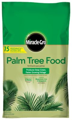 Miracle-Gro 20 lb. 1,330 sq. ft. Palm Tree Food