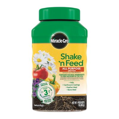 Miracle-Gro 1 lb. 30 sq. ft. Shake 'N Feed All-Purpose Plant Food