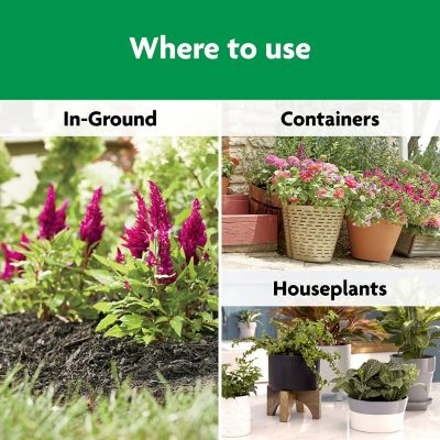 Image showing Miracle-Gro 1 lb. 30 sq. ft. Shake 'N Feed All-Purpose Plant Food