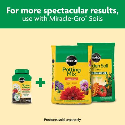 Image showing 9 th Miracle-Gro 1 lb. 30 sq. ft. Shake 'N Feed All-Purpose Plant Food