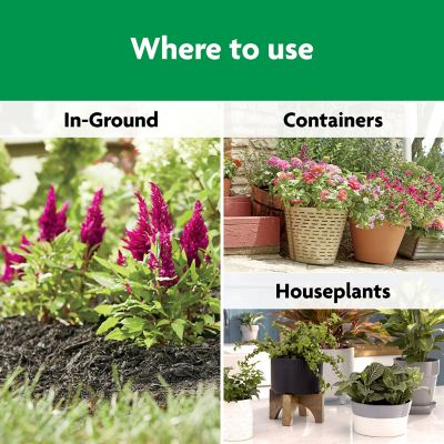 Image showing 5 th Miracle-Gro 8 lb. 320 sq. ft. Shake 'N Feed All-Purpose Plant Food