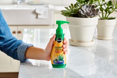 Image showing  8 qt. Succulent Plant Food