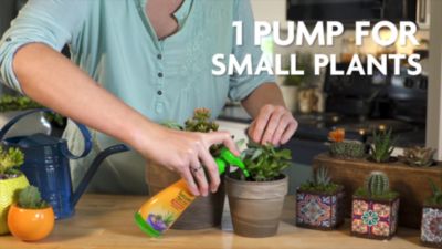 Image showing  8 qt. Succulent Plant Food