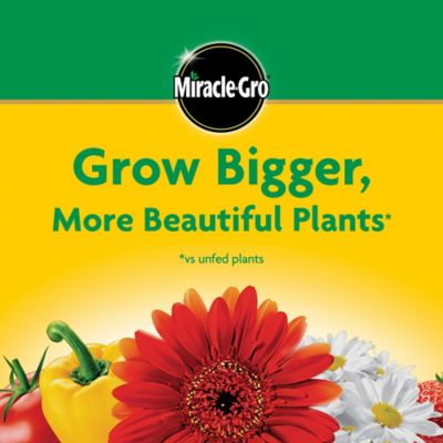 Image showing 7 th Miracle-Gro 1.5 lb. Water Soluble All-Purpose Plant Food