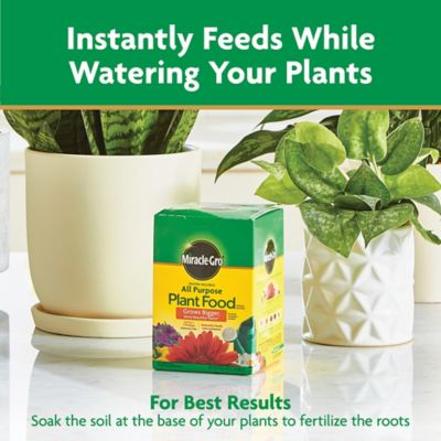 Image showing 10 th Miracle-Gro 1.5 lb. Water Soluble All-Purpose Plant Food