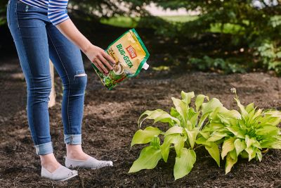 Image showing  2 lb. Bug-Geta Snail and Slug Killer2