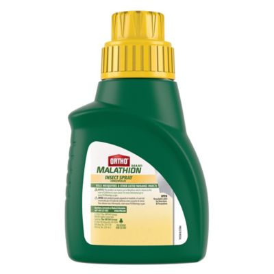 Image showing  MAX Malathion Insect Spray Concentrate, 16 oz.