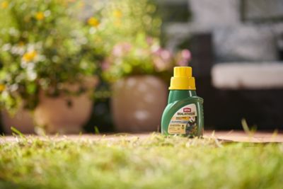 Image showing 5 th Ortho MAX Malathion Insect Spray Concentrate, 16 oz.