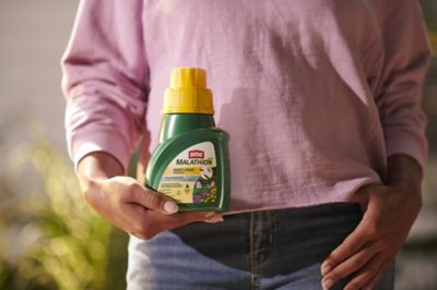 Image showing 6 th Ortho MAX Malathion Insect Spray Concentrate, 16 oz.