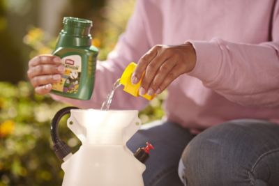 Image showing 8 th Ortho MAX Malathion Insect Spray Concentrate, 16 oz.