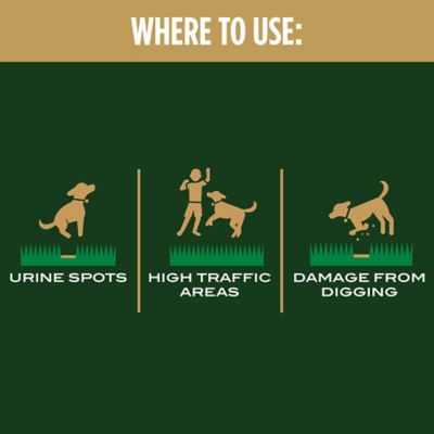 Image showing  2 lb. EZ Seed Dog Spot Repair Sun and Shade Grass Seed