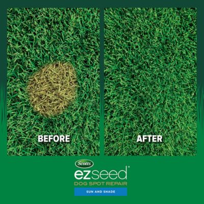 Image showing 6 th Scotts 2 lb. EZ Seed Dog Spot Repair Sun and Shade Grass Seed