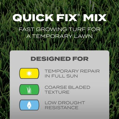 Image showing  Turf Builder Grass Seed Quick Fix Mix, 3 lbs.