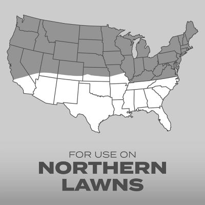 Image showing  Turf Builder Grass Seed Quick Fix Mix, 3 lbs.