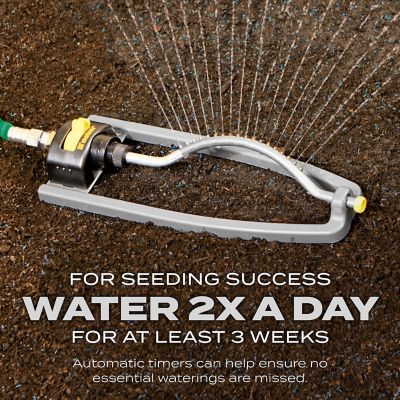 Image showing 8 th Scotts Turf Builder Grass Seed Quick Fix Mix, 3 lb.