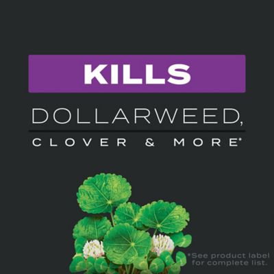 Image showing  Turf Builder Southern Triple Action, 13.32 lbs.