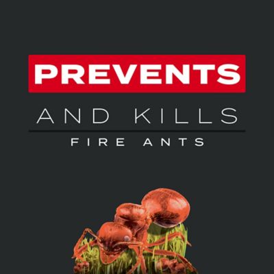 Image showing  Turf Builder Southern Triple Action, 13.32 lbs.