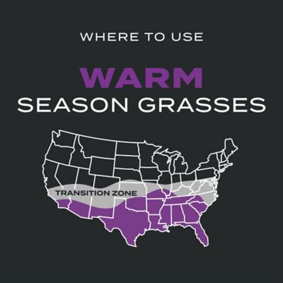 Image showing 6 th Scotts 26.64 lb. 8,000 sq. ft. Turf Builder Southern Triple Action Weed and Feed