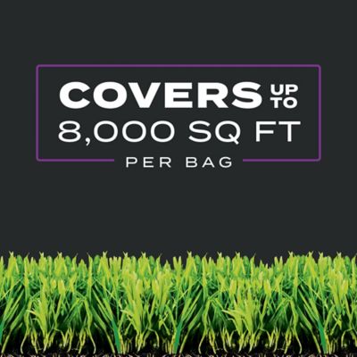 Image showing 7 th Scotts 26.64 lb. 8,000 sq. ft. Turf Builder Southern Triple Action Weed and Feed