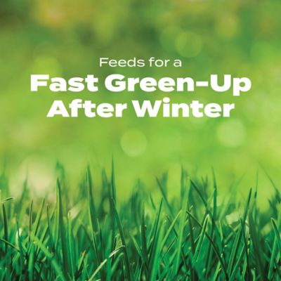 Image showing  13.35 lb. 5,000 sq. ft. Turf Builder Halts Crabgrass Preventer with Lawn Food