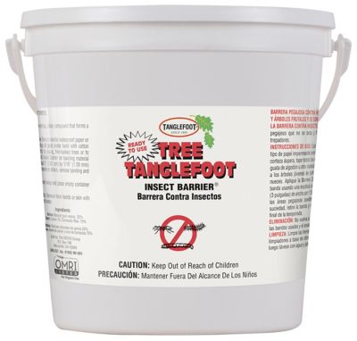 Tanglefoot Tree Insect Barrier 4 5 Lb Pail 461504 At Tractor Supply Co