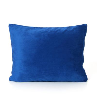 Image showing  Kids' Memory Foam Pillow, Blue
