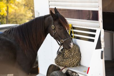 Image showing  Slow Feed Hay Net, 1.5 in. Holes, 2-4 Flakes