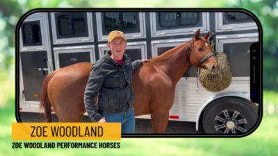 Image showing  Slow Feed Hay Net, 1.5 in. Holes, 2-4 Flakes