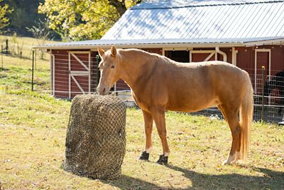 Image showing  3-String Square Bale Hay Net