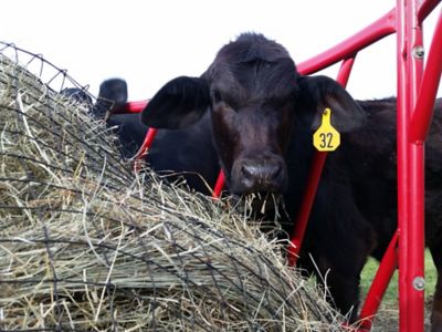Texas Haynet Livestock Round Hay Bale Net