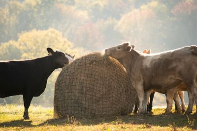 Image showing  Livestock Round Hay Bale Net