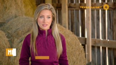 Image showing  Livestock Round Hay Bale Net