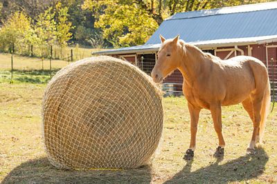 Image showing  Heavy Gauge Round Bale Hay Net