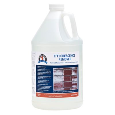 1 Shot 1 gal. Efflorescence Remover