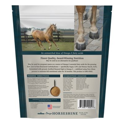 Image showing  Omega Horseshine Supplement