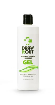 Draw it Out Horse Liniment Topical Pain Relief High Potency Gel, 16 oz.
