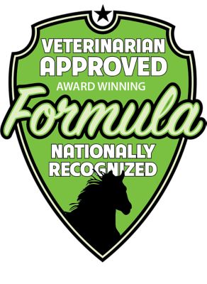 Image showing  Horse Liniment Topical Pain Relief High Potency Gel, 16 oz.