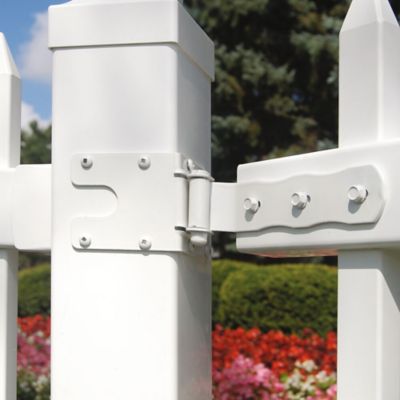 Image showing  Walk Gate Strap Hinge, White