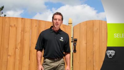 Image showing  Compact Butterfly Gate Hinge, Black, 2 pc.