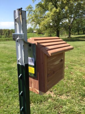 Image showing  Vertical T-Post Brackets, 2 in., 150 lb. Capacity, 4-Pack