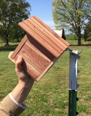 Image showing  Vertical T-Post Brackets, 2 in., 150 lb. Capacity, 4-Pack