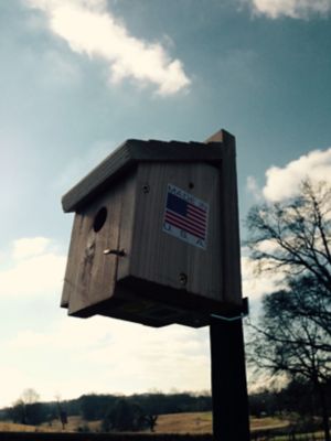 Image showing  2 in. Horizontal T-Post Brackets, 10 lb. Capacity, 4-Pack