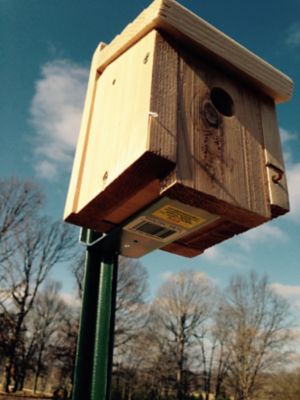 Image showing  2 in. Horizontal T-Post Brackets, 10 lb. Capacity, 4-Pack