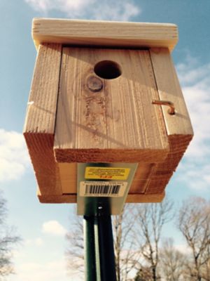 Image showing  2 in. Horizontal T-Post Brackets, 10 lb. Capacity, 10-Pack